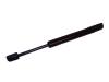 Cliquez pour agrandir � Cylindre � gaz - 19 mm dia. Tube x 8 mm dia. Tige - Embout plastique 10 mm �