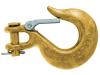 Clevis slip hook with latch